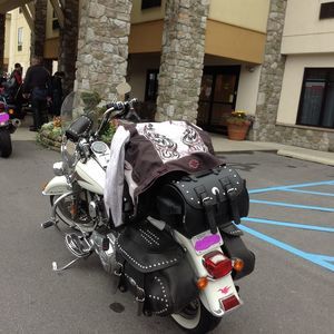 Meet your Posher, Donata